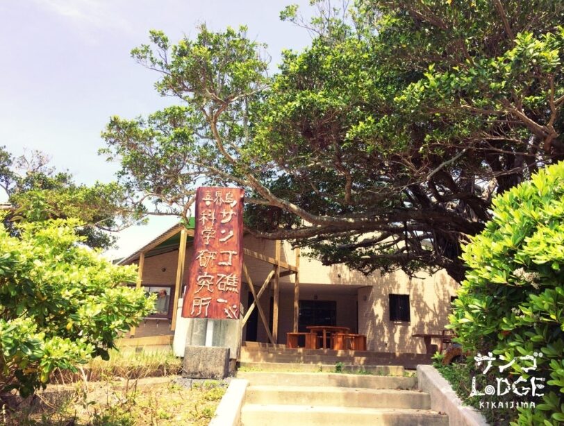 Lodge