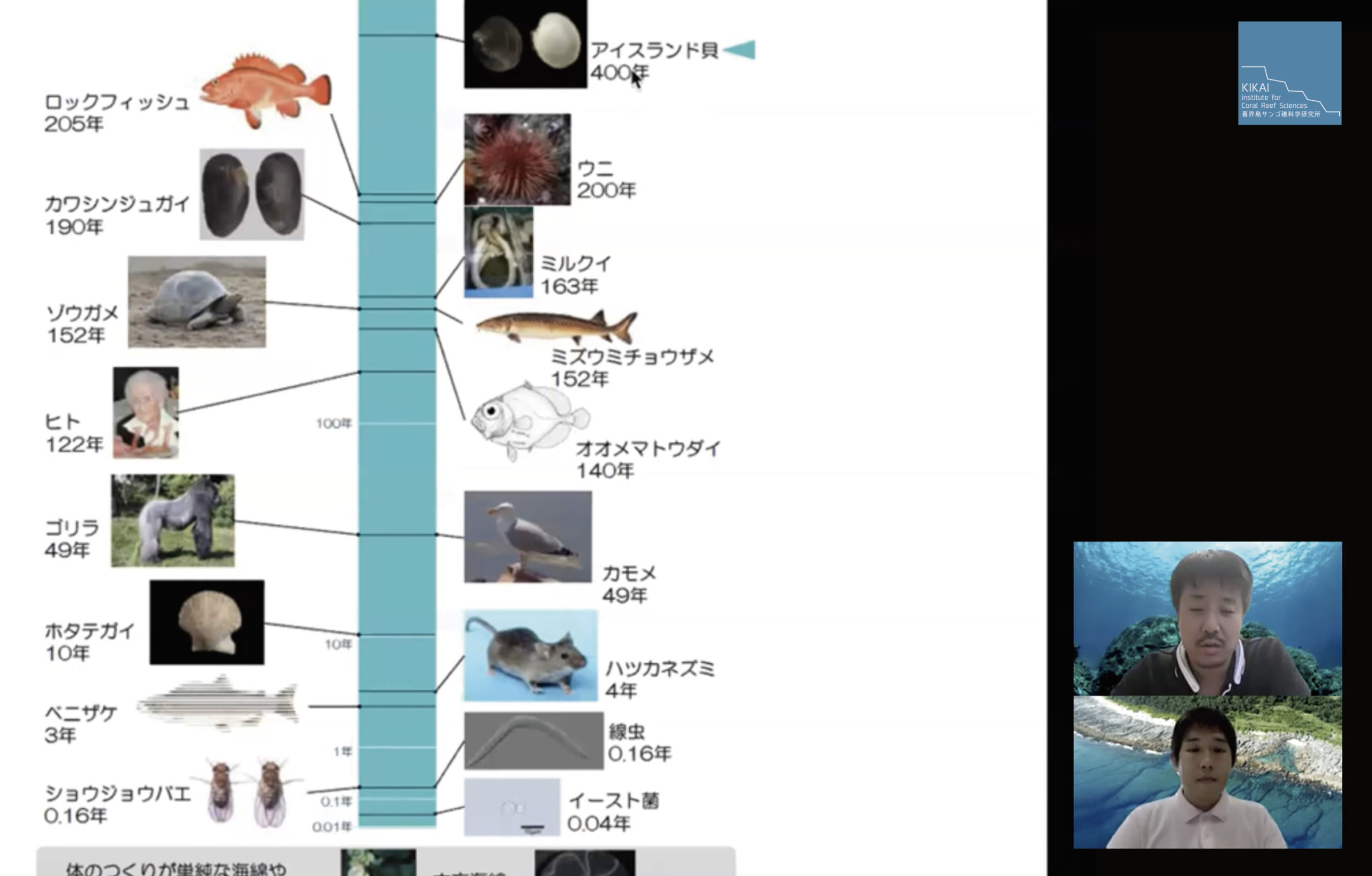 オンラインセミナー6 5 金 貝を用いた環境解析 喜界島サンゴ礁科学研究所