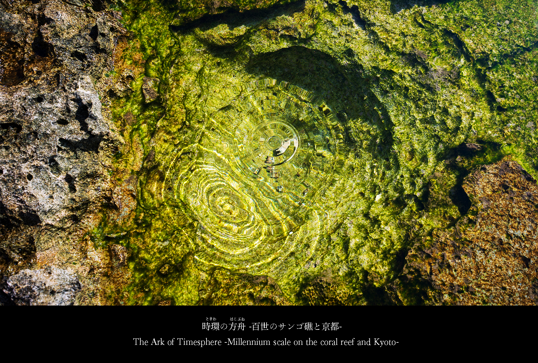 京都・伏見港「珊瑚庵」 - 喜界島サンゴ礁科学研究所